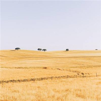 春耕新景丨记者手记：在田间地头感受农业发展新动能